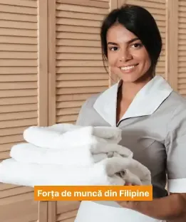 forta-de-munca-filipine